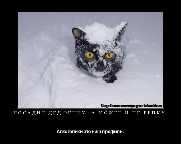 Посадил дед репку, а может и не репку. Алкоголики это наш профиль.... Котоматрица: Посадил дед репку, а может и не репку. Алкоголики это наш профиль.