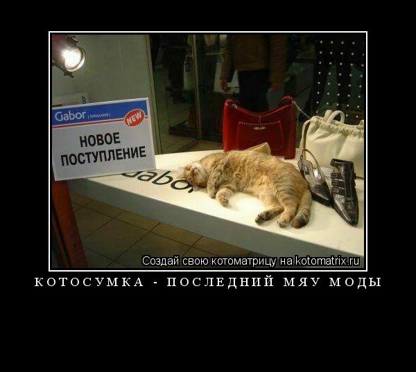 КОТОСУМКА - ПОСЛЕДНИЙ МЯУ МОДЫ ... Котоматрица: КОТОСУМКА - ПОСЛЕДНИЙ МЯУ МОДЫ