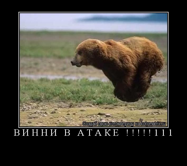 Котоматрица:  Винни в атаке !!!!!111 
