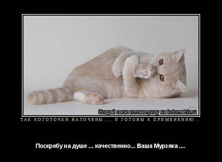 Котоматрица: Так коготочки наточены.... и готовы к применению... Поскребу на душе ... качественно... Ваша Мурзяка ....