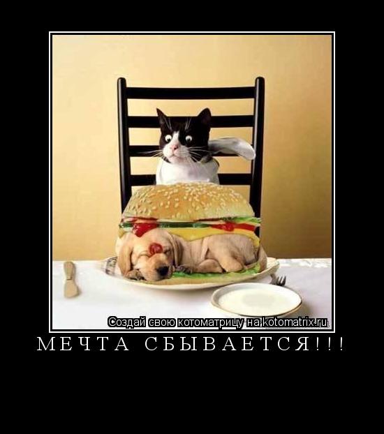Котоматрица: МЕЧТА СБЫВАЕТСЯ!!! 