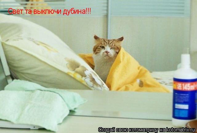 Свет та выключи дубина!!!... Котоматрица: Свет та выключи дубина!!!