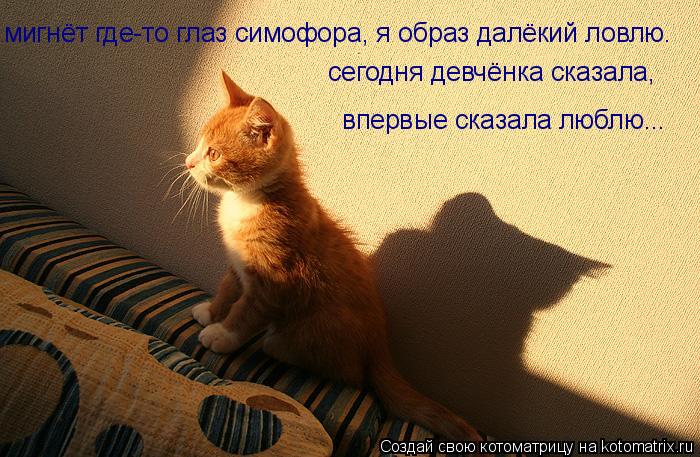 мигнёт где-то глаз симофора, я образ далёкий ловлю. сегодня девчёнка сказала, впервые сказала люблю.... Котоматрица: мигнёт где-то глаз симофора, я образ далёкий ловлю. сегодня девчёнка сказала, впервые сказала люблю...