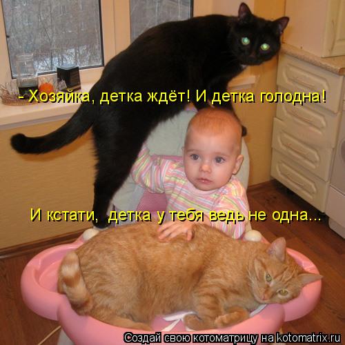 - Хозяйка, детка ждёт! И детка голодна! И кстати, детка у тебя ведь не одна...... Котоматрица: - Хозяйка, детка ждёт! И детка голодна! И кстати, детка у тебя ведь не одна...
