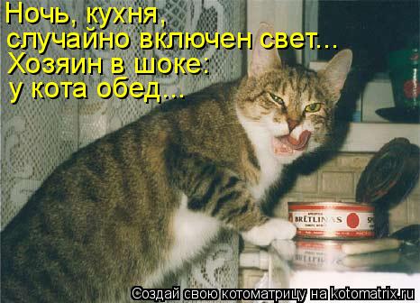 Котоматрица: Ночь, кухня,  случайно включен свет... Хозяин в шоке: у кота обед...