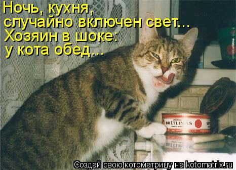 Ночь, кухня, случайно включен свет... Хозяин в шоке: у кота обед...... Котоматрица: Ночь, кухня, случайно включен свет... Хозяин в шоке: у кота обед...
