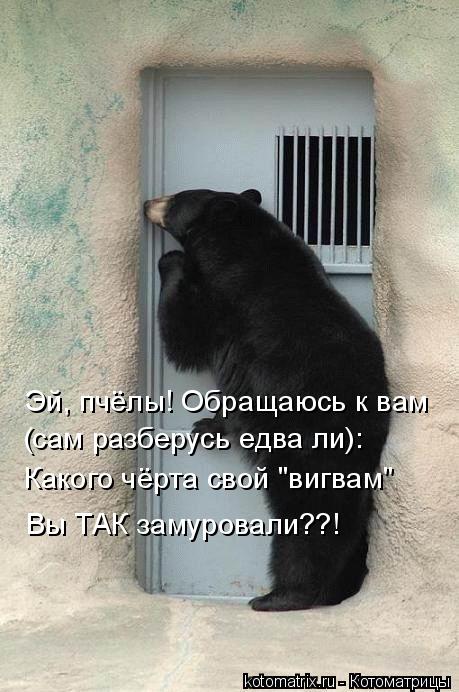 Котоматрица: Эй, пчёлы! Обращаюсь к вам  (сам разберусь едва ли): Какого чёрта свой "вигвам" Вы ТАК замуровали??!