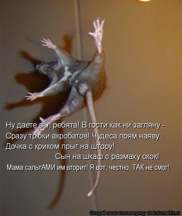 Ну даете вы, ребята! В гости как ни загляну - Сразу трюки акробатов! Чудеса прям наяву: Дочка с крик... Котоматрица: Ну даете вы, ребята! В гости как ни загляну - Сразу трюки акробатов! Чудеса прям наяву: Дочка с криком прыг на штору! Сын на шкаф с размаху ско