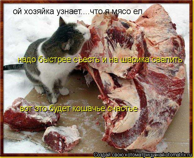 ой хозяйка узнает....что я мясо ел надо быстрее съесть и на шарика свалить вот это будет кошачье счас... Котоматрица: ой хозяйка узнает....что я мясо ел надо быстрее съесть и на шарика свалить вот это будет кошачье счастье