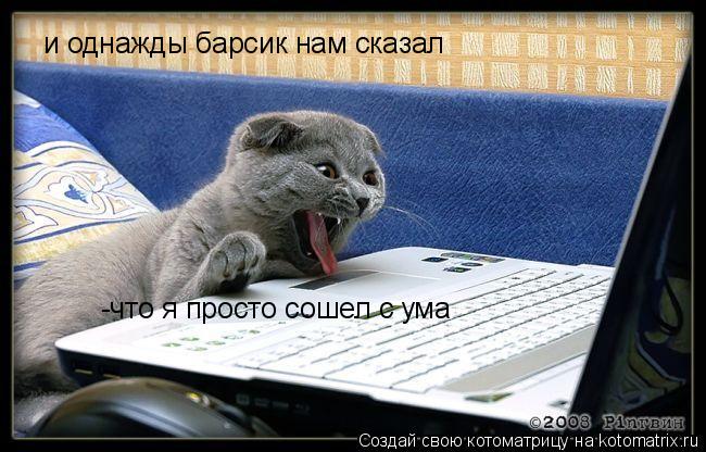 -что я просто сошел с ума и однажды барсик нам сказал... Котоматрица: -что я просто сошел с ума и однажды барсик нам сказал