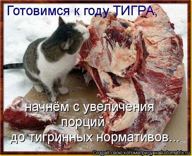 Готовимся к году ТИГРА, начнём с увеличения порций до тигринных нормативов...... Котоматрица: Готовимся к году ТИГРА, начнём с увеличения порций до тигринных нормативов...