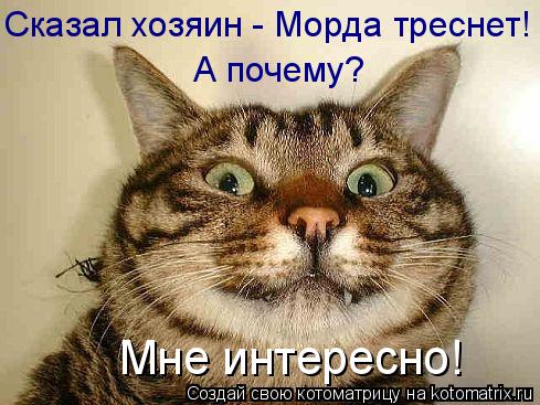 Сказал хозяин - Морда треснет! А почему? Мне интересно!... Котоматрица: Сказал хозяин - Морда треснет! А почему? Мне интересно!