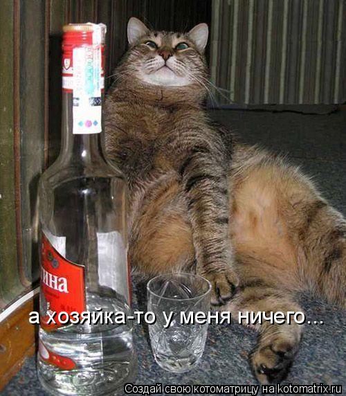 а хозяйка-то у меня ничего...... Котоматрица: а хозяйка-то у меня ничего...