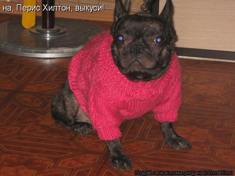 на, Перис Хилтон, выкуси!... Котоматрица: на, Перис Хилтон, выкуси!
