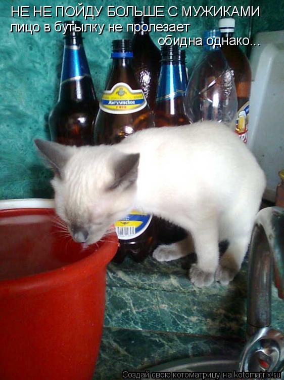 Котоматрица: НЕ НЕ ПОЙДУ БОЛЬШЕ С МУЖИКАМИ лицо в бутылку не пролезает обидна однако...