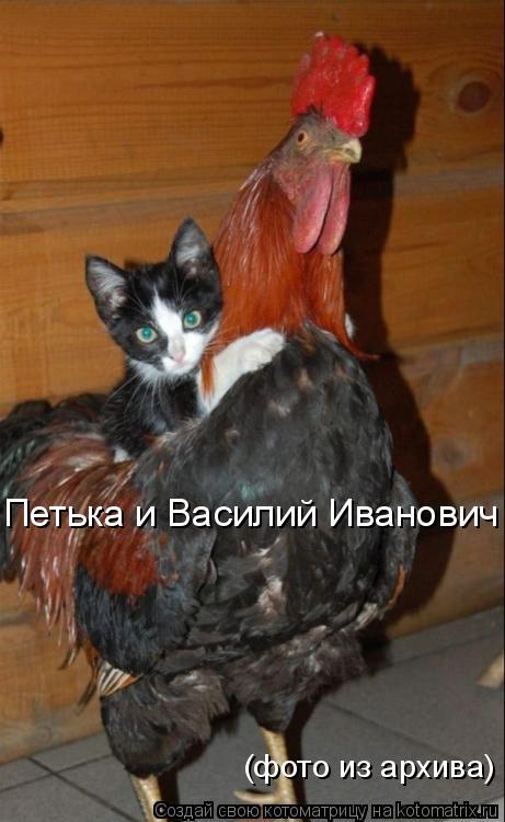 Котоматрица: Петька и Василий Иванович (фото из архива)