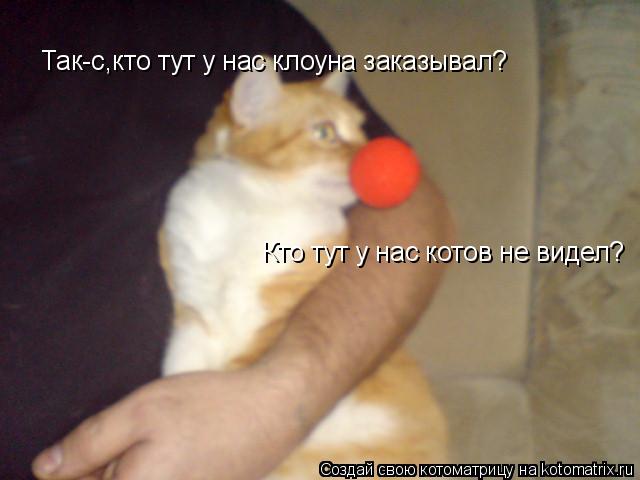 Котоматрица: Так-с,кто тут у нас клоуна заказывал? Кто тут у нас котов не видел?