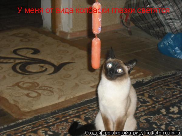 Котоматрица: У меня от вида колбаски глазки светятся
