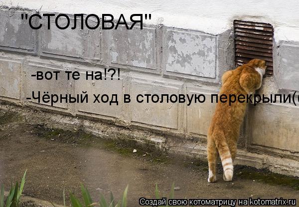 Котоматрица: "СТОЛОВАЯ" -вот те на!?! -Чёрный ход в столовую перекрыли((