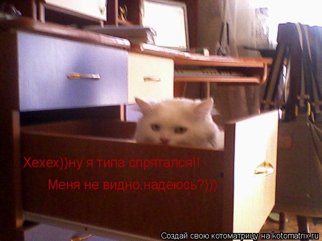 Котоматрица: Хехех))ну я типа спрятался!! Меня не видно,надеюсь?)))