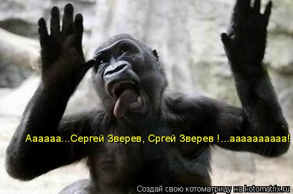 Котоматрица: Аааааа...Сергей Зверев, Сргей Зверев !...аааааааааа!