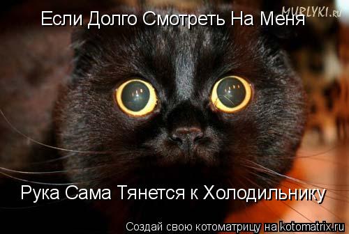 Котоматрица: Если Долго Смотреть На Меня Рука Сама Тянется к Холодильнику