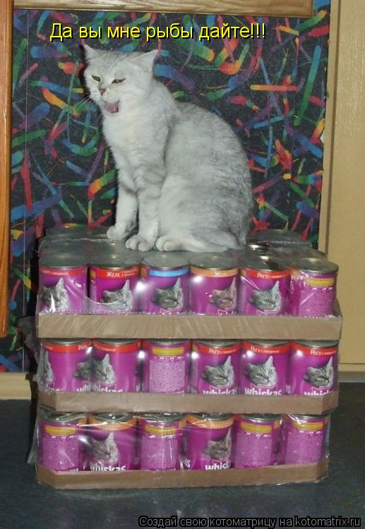 Котоматрица: Да вы мне рыбы дайте!!!
