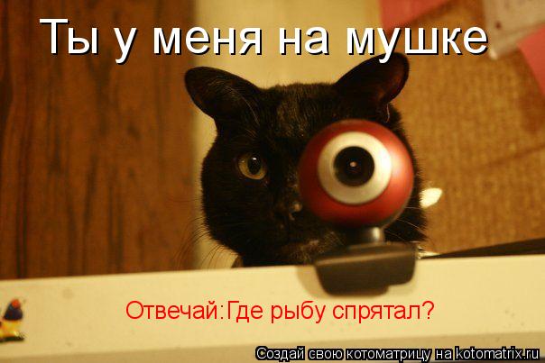 Котоматрица: Ты у меня на мушке Отвечай:Где рыбу спрятал?