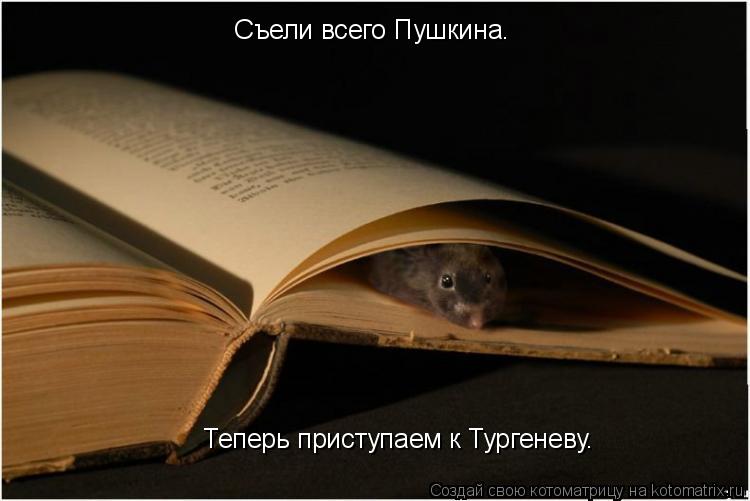 Котоматрица: Съели всего Пушкина. Теперь приступаем к Тургеневу.