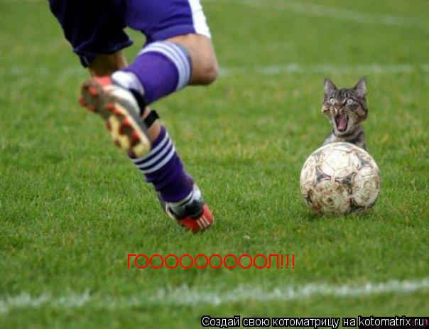 Котоматрица: ГОООООООООЛ!!!