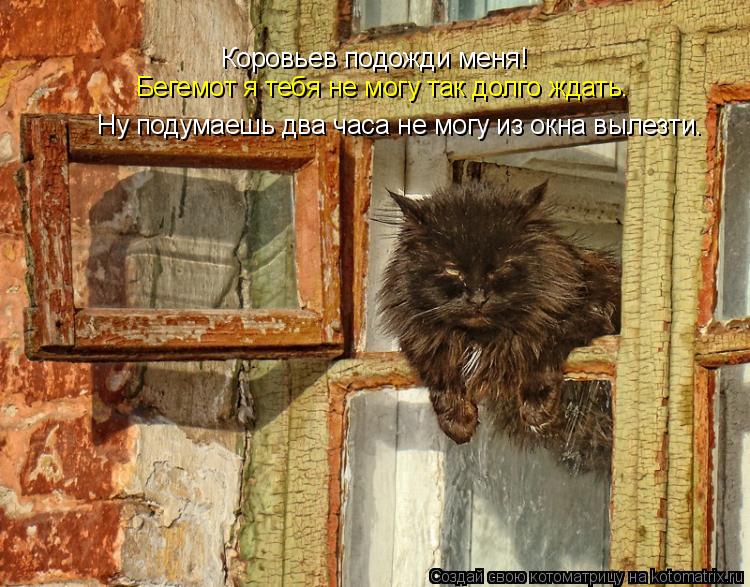 Котоматрица: Коровьев подожди меня! Бегемот я тебя не могу так долго ждать. Ну подумаешь два часа не могу из окна вылезти.