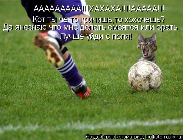 Котоматрица: ААААААААА!!!ХАХАХА!!!!ААААА!!! Кот ты чё то кричишь,то хохочешь? Да янезнаю что мне делать смеятся или орать Лучше уйди с поля!