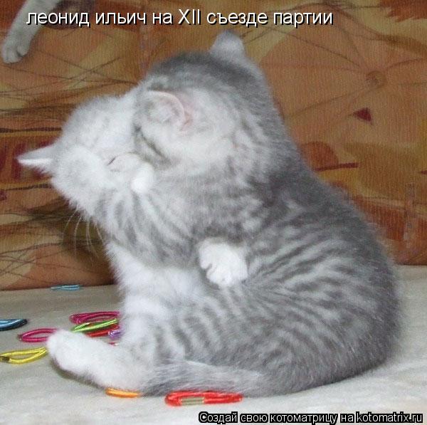 леонид ильич на XII съезде партии... Котоматрица: леонид ильич на XII съезде партии