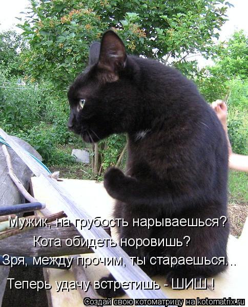 Мужик, на грубость нарываешься? Кота обидеть норовишь? Зря, между прочим, ты стараешься... Теперь уда... Котоматрица: Мужик, на грубость нарываешься? Кота обидеть норовишь? Зря, между прочим, ты стараешься... Теперь удачу встретишь - ШИШ !