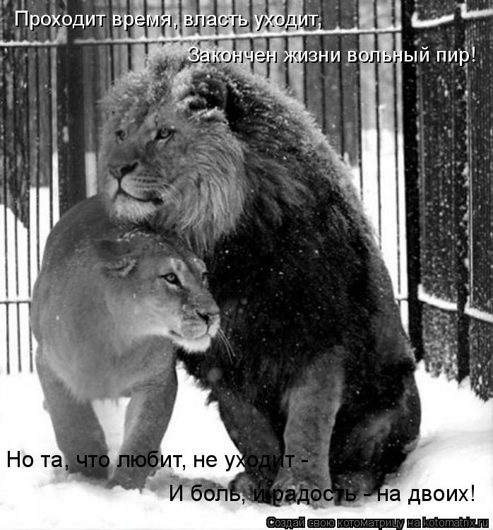 Проходит время, власть уходит, Но та, что любит, не уходит - И боль, и радость - на двоих! Закончен ... Котоматрица: Проходит время, власть уходит, Но та, что любит, не уходит - И боль, и радость - на двоих! Закончен жизни вольный пир!