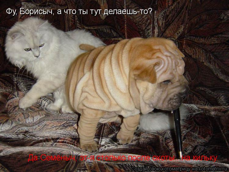 Фу, Борисыч, а что ты тут делаешь-то? Да Семёныч, эт-я столько после охоты...на кильку.... Котоматрица: Фу, Борисыч, а что ты тут делаешь-то? Да Семёныч, эт-я столько после охоты...на кильку.