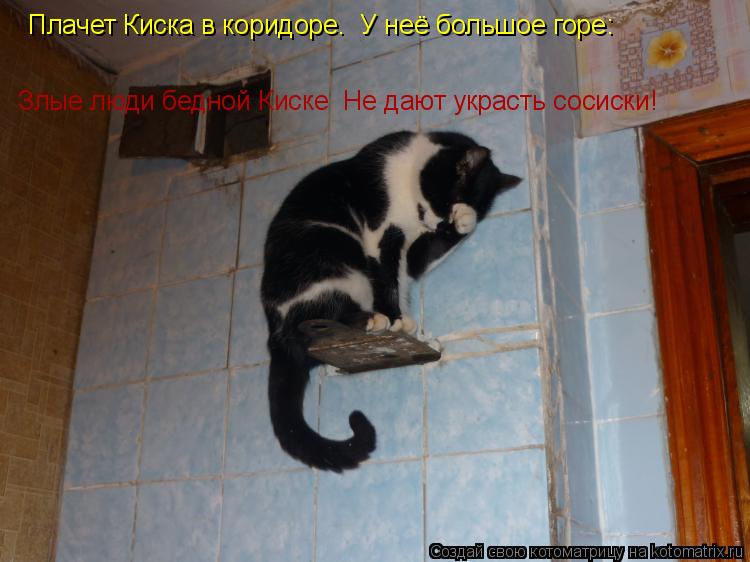 Плачет Киска в коридоре. У неё большое горе: Злые люди бедной Киске Не дают украсть сосиски!... Котоматрица: Плачет Киска в коридоре. У неё большое горе: Злые люди бедной Киске Не дают украсть сосиски!