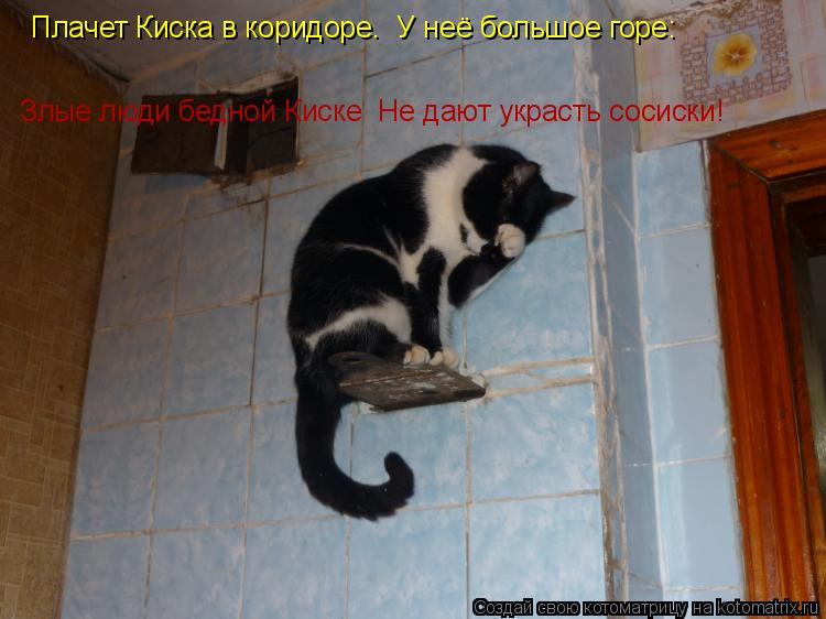 Котоматрица: Плачет Киска в коридоре.  У неё большое горе: Злые люди бедной Киске  Не дают украсть сосиски!