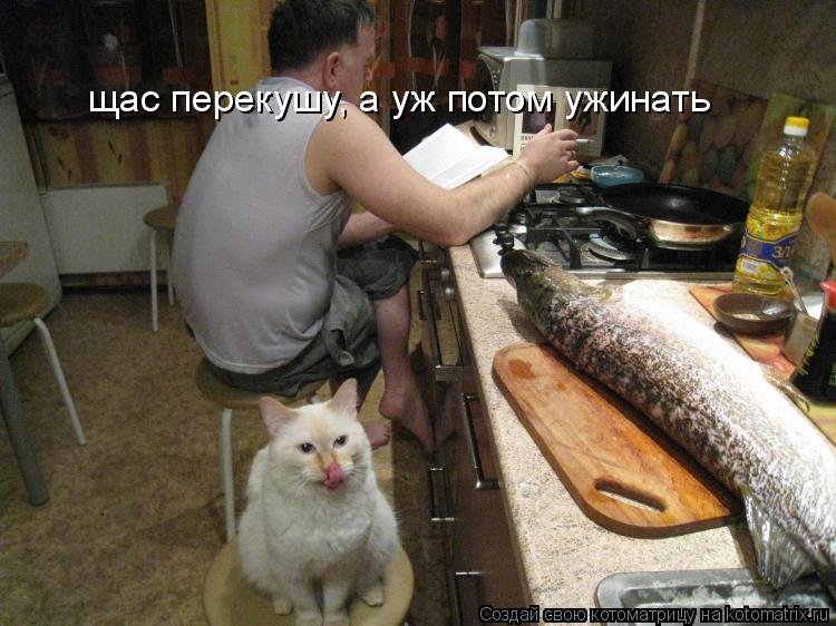 щас перекушу, а уж потом ужинать... Котоматрица: щас перекушу, а уж потом ужинать
