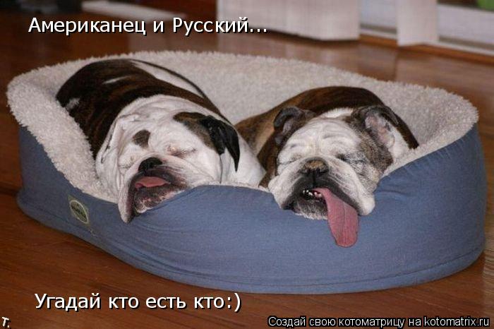 Американец и Русский... Угадай кто есть кто:)... Котоматрица: Американец и Русский... Угадай кто есть кто:)