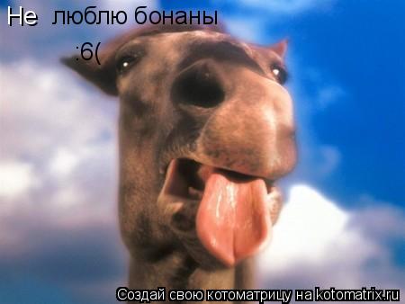 Не люблю бонаны :6(... Котоматрица: Не люблю бонаны :6(