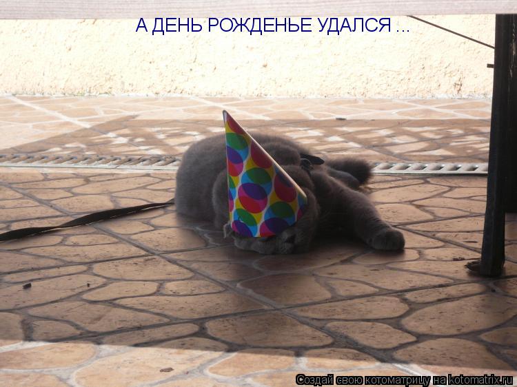 А ДЕНЬ РОЖДЕНЬЕ УДАЛСЯ ...... Котоматрица: А ДЕНЬ РОЖДЕНЬЕ УДАЛСЯ ...