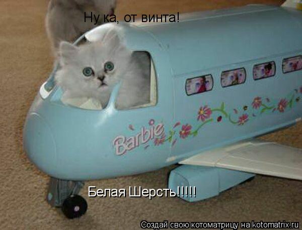 Ну ка, от винта! Белая Шерсть!!!!!... Котоматрица: Ну ка, от винта! Белая Шерсть!!!!!