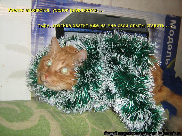 Котоматрица: Узелок завяжется, узелок развяжется.... тьфу..хозяйка,хватит уже на мне свои опыты ставить.....