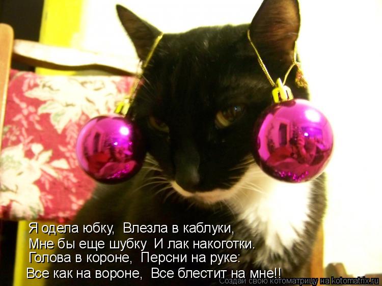 Котоматрица: Я одела юбку,  Влезла в каблуки,   Мне бы еще шубку  И лак накоготки.   Голова в короне,  Персни на руке:   Все как на вороне,  Все блестит на мне!!