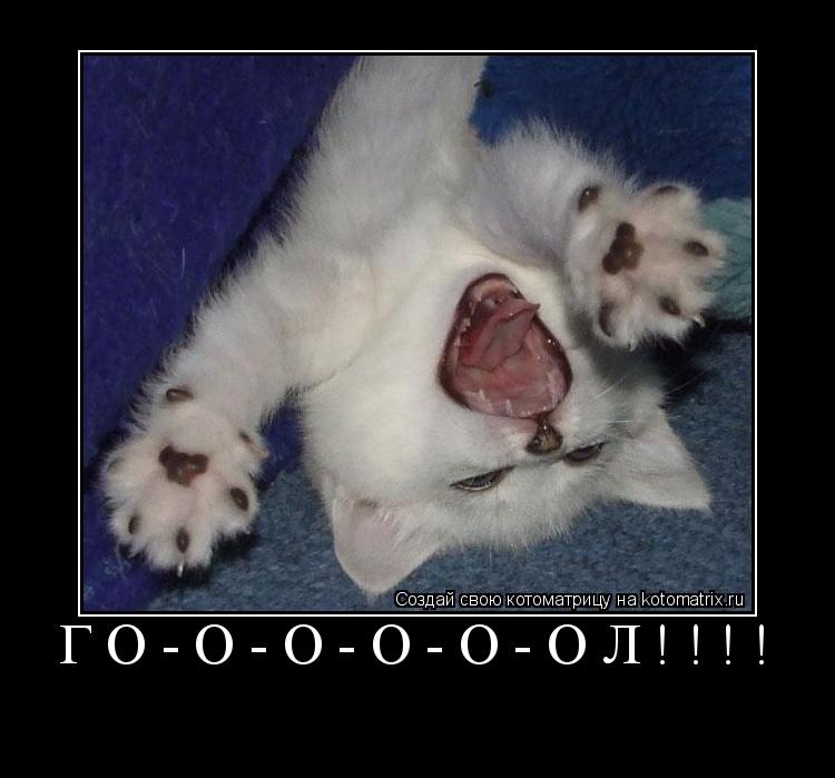 Котоматрица: ГО-О-О-О-О-ОЛ!!!! 