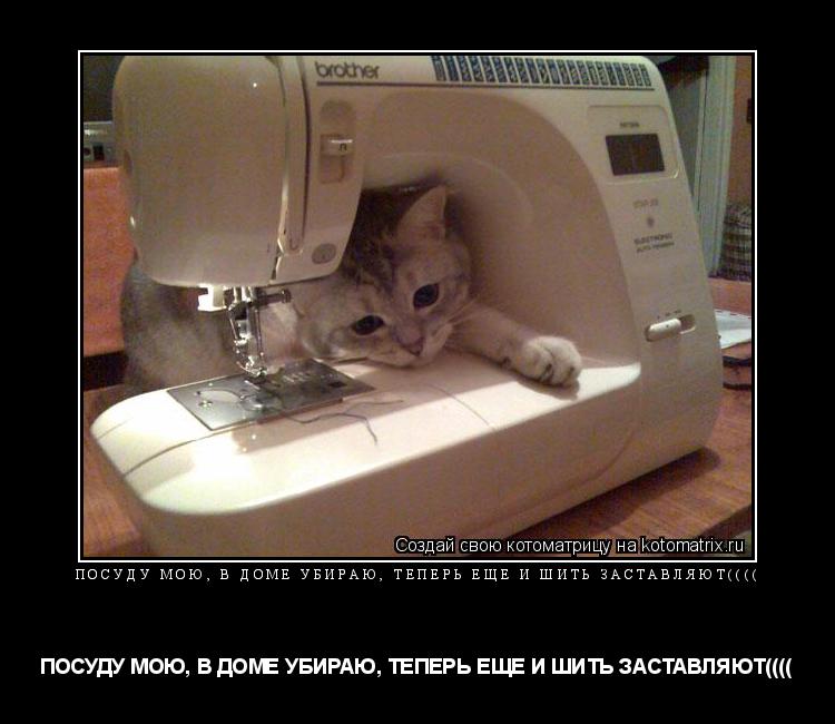 Котоматрица: ПОСУДУ МОЮ, В ДОМЕ УБИРАЮ, ТЕПЕРЬ ЕЩЕ И ШИТЬ ЗАСТАВЛЯЮТ(((( ПОСУДУ МОЮ, В ДОМЕ УБИРАЮ, ТЕПЕРЬ ЕЩЕ И ШИТЬ ЗАСТАВЛЯЮТ((((