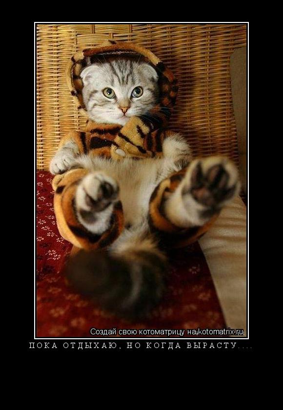 Котоматрица: ПОКА ОТДЫХАЮ, НО КОГДА ВЫРАСТУ.... 