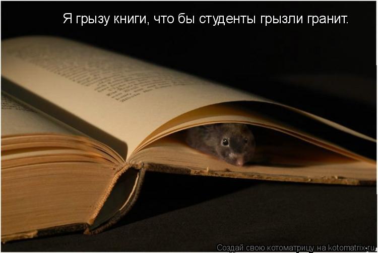 Я грызу книги, что бы студенты грызли гранит.... Котоматрица: Я грызу книги, что бы студенты грызли гранит.
