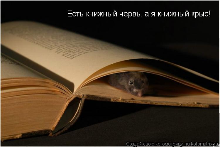 Есть книжный червь, а я книжный крыс!... Котоматрица: Есть книжный червь, а я книжный крыс!